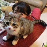 ひだめ 会員画像
