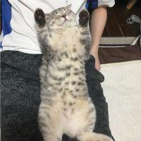 curu 会員画像