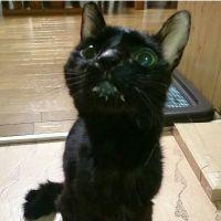 May.T 会員画像