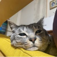 pmnmqさん