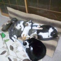 かずみん0727 会員画像