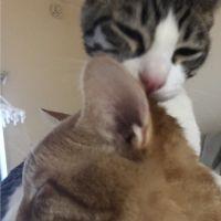 会員画像