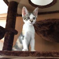 ユラポン 会員画像