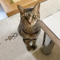 会員画像