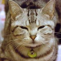ジネン 会員画像