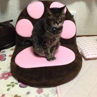 会員画像