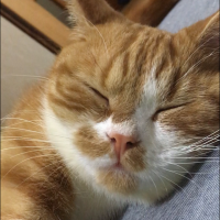 会員画像