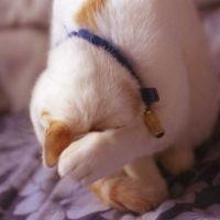 会員画像