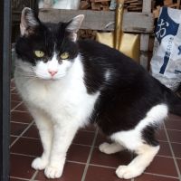 ノンのんちゃん 会員画像