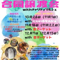 野良猫親子 会員画像