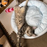 misora39 会員画像