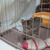 あみじじ 会員画像