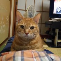 クレーンマンさん