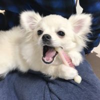 もぐぞう 会員画像