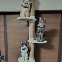 ちょびすけ55さん