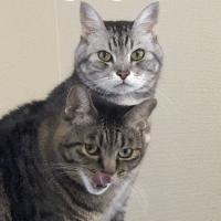 そらきゅん 会員画像