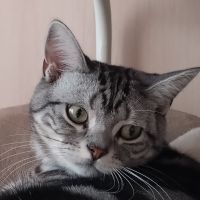 こなんママ 会員画像