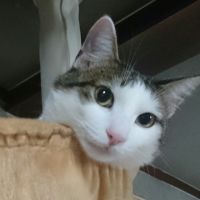 リリ助1123 会員画像