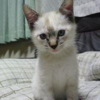 スマイルきのこ 会員画像