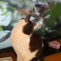 たいあや 会員画像
