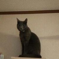 ユータロー 会員画像