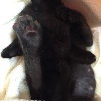 うみ0220 会員画像