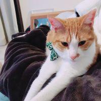 へーこさんさん