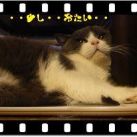 ためきち 会員画像