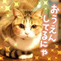 ナルたん 会員画像