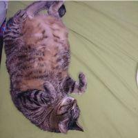 ティティちゃん 会員画像