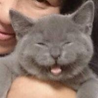 ビンたん 会員画像