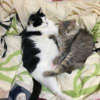 まあちやん 会員画像