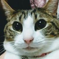 Eriyoshi 会員画像