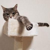 ユウニャコ 会員画像