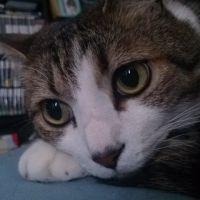 みさえる 会員画像