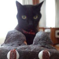 ときばば 会員画像