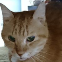 junkunさん