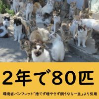 ウシシマさん