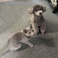 会員画像