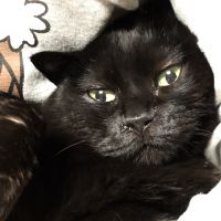 トムユキ 会員画像