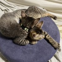 ひろさな 会員画像