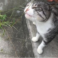 ゆきむ 会員画像