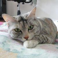 ジュジュのママ 会員画像
