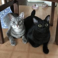 ネギシユミ 会員画像