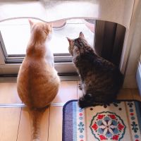 きなもみ 会員画像