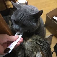 marico522さん