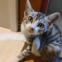 ともゆめゆり 会員画像