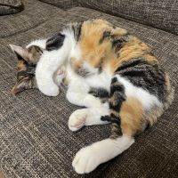 キムりょーさん 会員画像