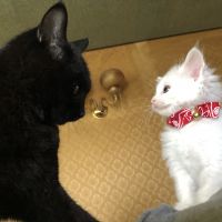 ( '-' )タケチャン 会員画像