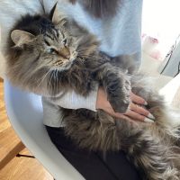 さゆぴん0712 会員画像